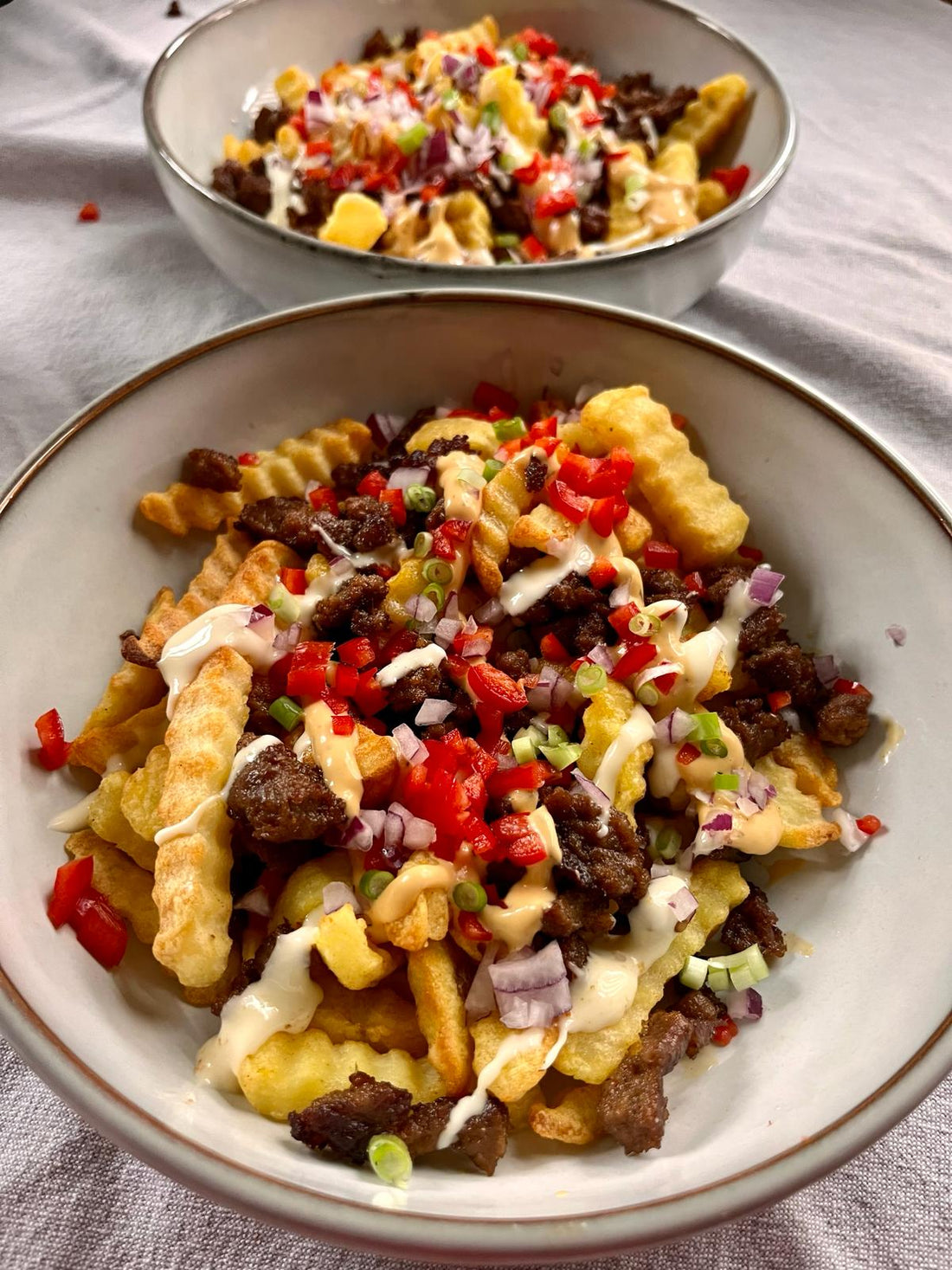 Loaded fries