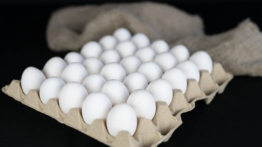 Biologische eieren - tray